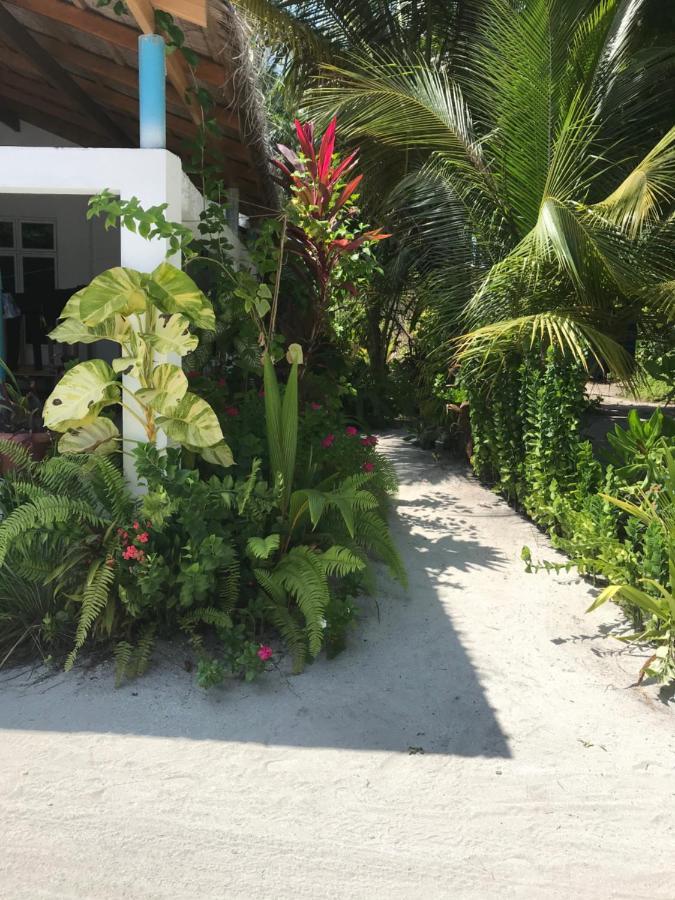 弗里德胡 马拉斯岛景旅馆酒店 外观 照片
